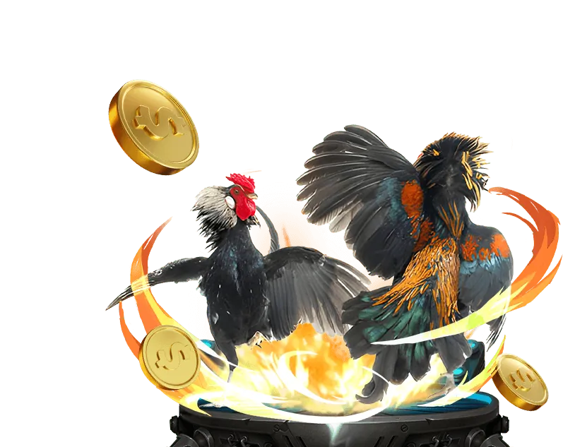 Cá cược trực tiếp các trận đấu